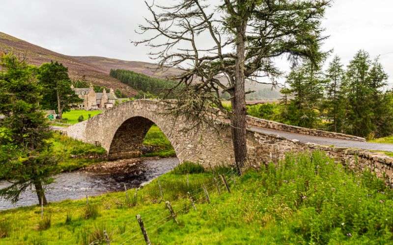Highlands